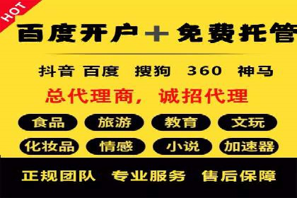 搜索引擎优化（SEM）在旅游行业的应用案例